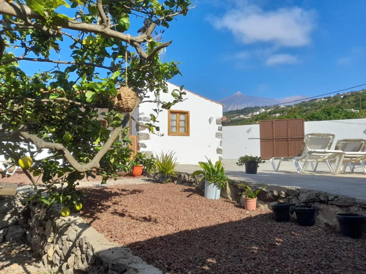 La Casa Del Bisa Villa Genovés Eksteriør billede