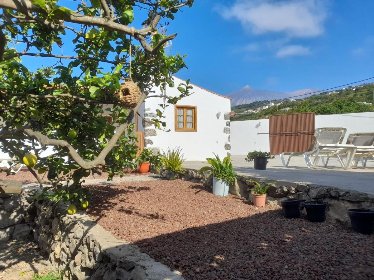 La Casa Del Bisa Villa Genovés Eksteriør billede